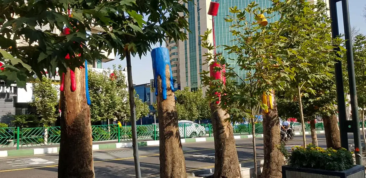 درختان فرسوده خیابان ولیعصر به اثر هنری تبدیل شدند