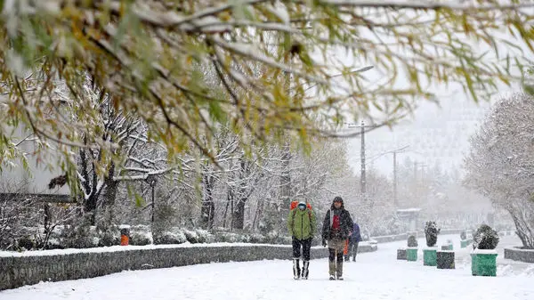 هشدار! برف و کولاک در تهران؛ یخبندان در شمال شهر